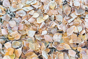 轮胎的艺术!F1艾米利亚-罗马涅站,策略博弈令人回味无穷 轮胎的艺术!F1艾米利亚-罗马涅站,策略博弈令人回味无穷