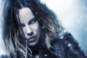 2026世界杯:冷门迭爆!谁是这届世界杯的最大“黑马” 2026世界杯:冷门迭爆!谁是这届世界杯的最大“黑马”